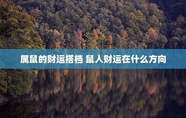 属鼠的财运搭档 鼠人财运在什么方向