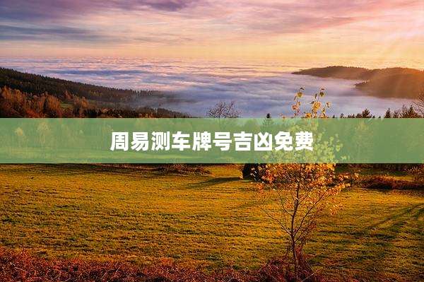 周易测车牌号吉凶免费