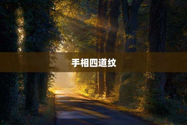 手相四道纹