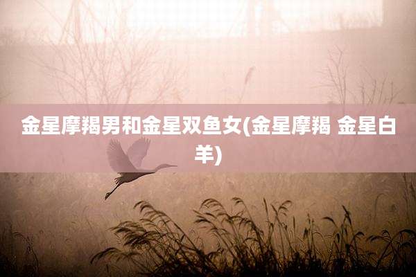 金星摩羯男和金星双鱼女(金星摩羯 金星白羊)