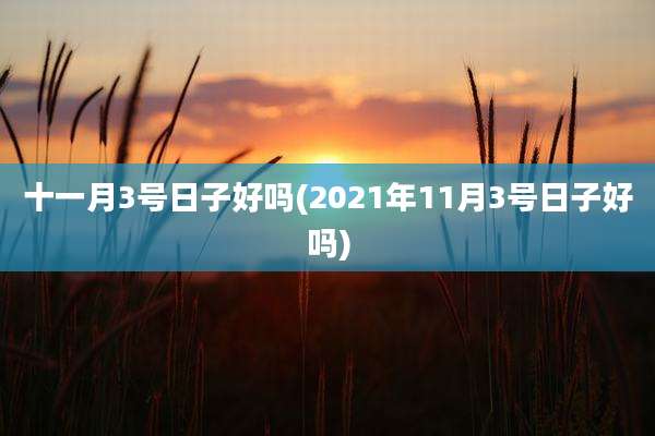 十一月3号日子好吗(2021年11月3号日子好吗)