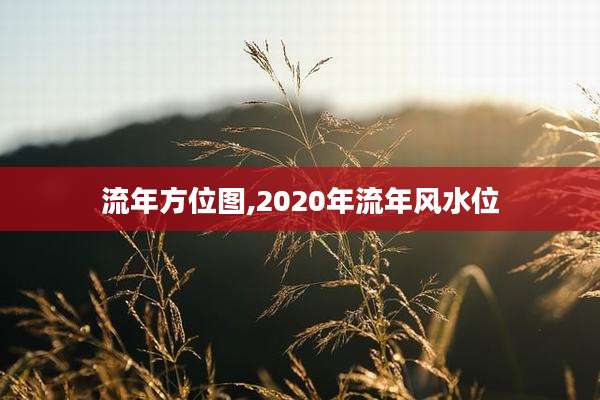 流年方位图,2020年流年风水位