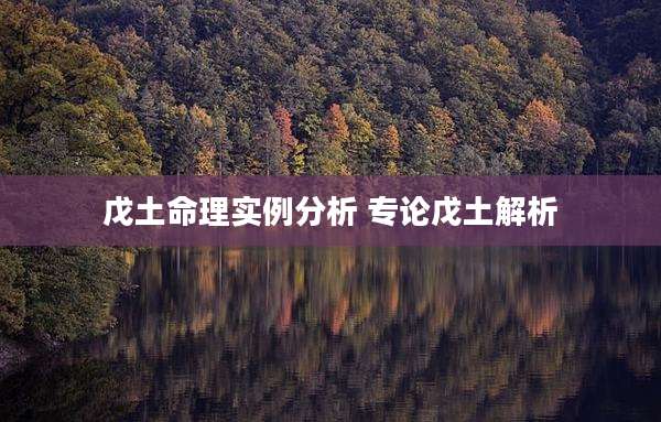 戊土命理实例分析 专论戊土解析