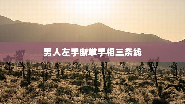 男人左手断掌手相三条线