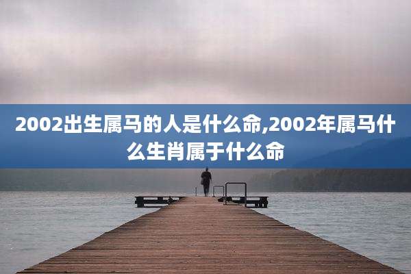 2002出生属马的人是什么命,2002年属马什么生肖属于什么命