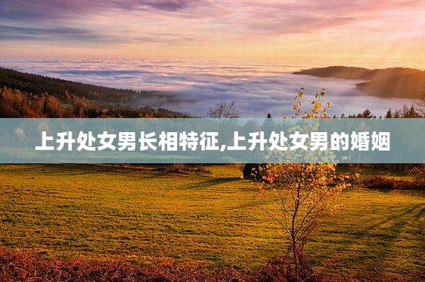 上升处女男长相特征,上升处女男的婚姻