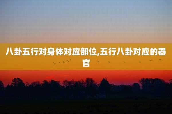 八卦五行对身体对应部位,五行八卦对应的器官