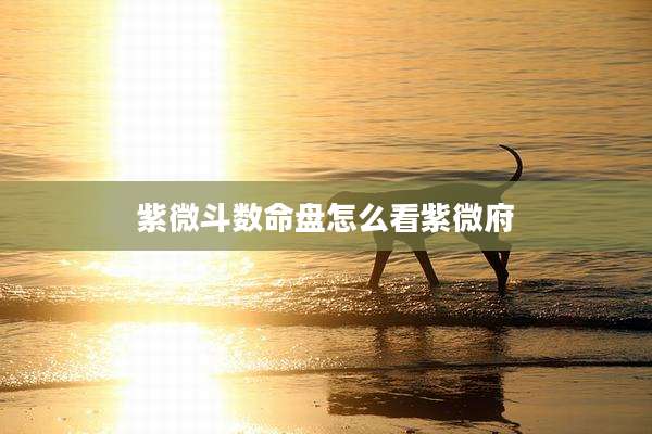 紫微斗数命盘怎么看紫微府