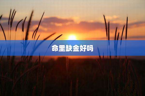 命里缺金好吗