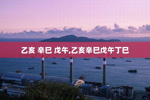 乙亥 辛巳 戊午,乙亥辛巳戊午丁巳
