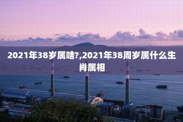 2021年38岁属啥?,2021年38周岁属什么生肖属相