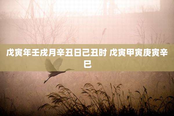 戊寅年壬戌月辛丑日己丑时 戊寅甲寅庚寅辛巳