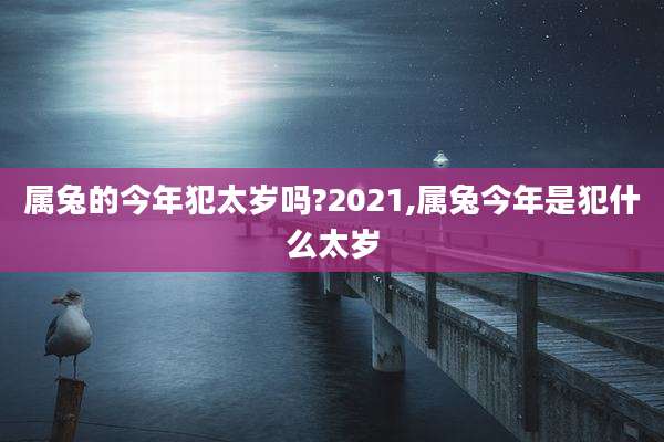 属兔的今年犯太岁吗?2021,属兔今年是犯什么太岁