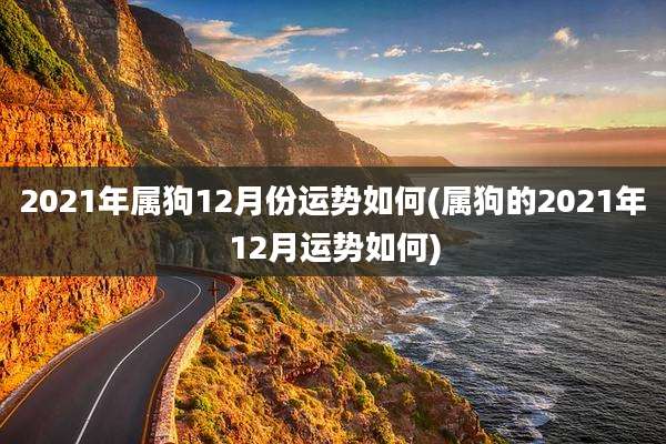 2021年属狗12月份运势如何(属狗的2021年12月运势如何)