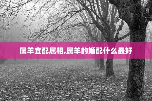 属羊宜配属相,属羊的婚配什么最好
