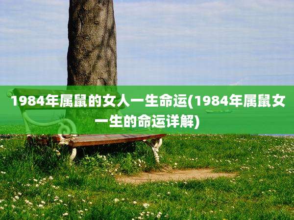 1984年属鼠的女人一生命运(1984年属鼠女一生的命运详解)