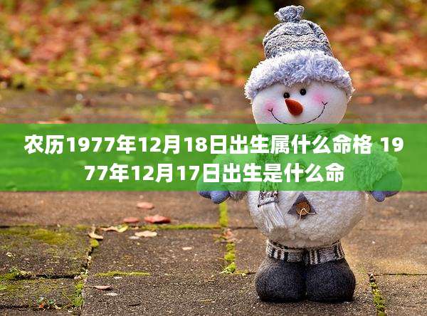 农历1977年12月18日出生属什么命格 1977年12月17日出生是什么命