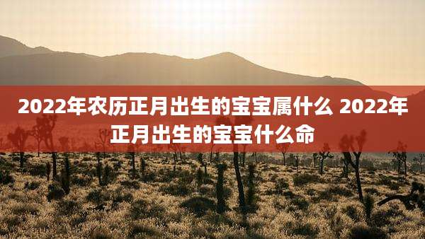 2022年农历正月出生的宝宝属什么 2022年正月出生的宝宝什么命