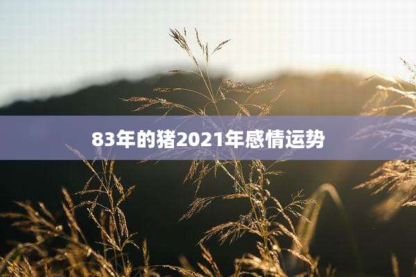 83年的猪2021年感情运势