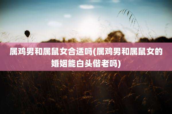属鸡男和属鼠女合适吗(属鸡男和属鼠女的婚姻能白头偕老吗)