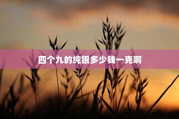 四个九的纯银多少钱一克啊