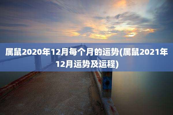 属鼠2020年12月每个月的运势(属鼠2021年12月运势及运程)