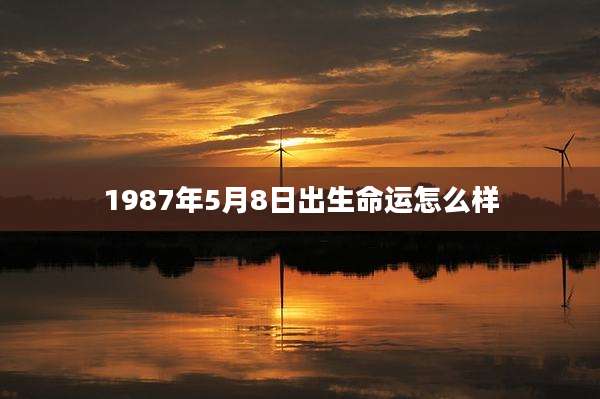 1987年5月8日出生命运怎么样