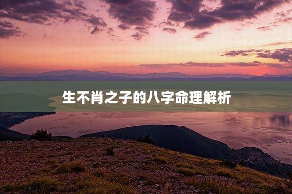 生不肖之子的八字命理解析