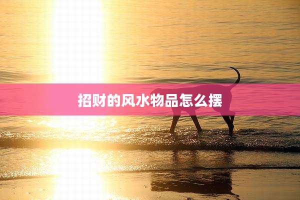 招财的风水物品怎么摆