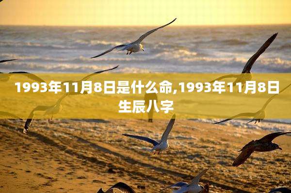 1993年11月8日是什么命,1993年11月8日生辰八字