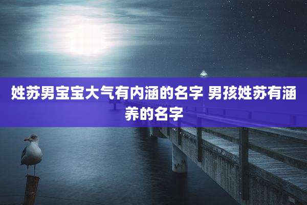 姓苏男宝宝大气有内涵的名字 男孩姓苏有涵养的名字