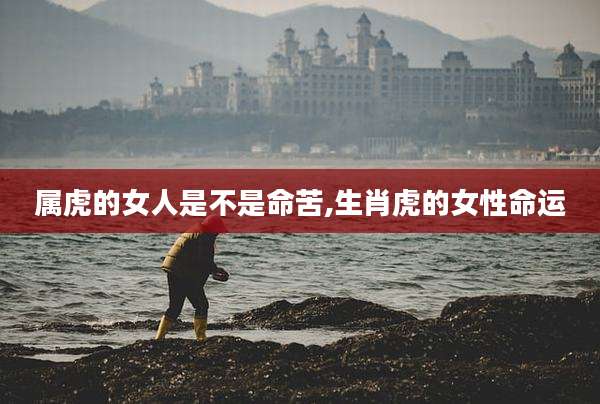 属虎的女人是不是命苦,生肖虎的女性命运