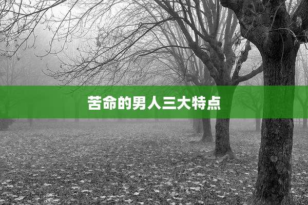 苦命的男人三大特点