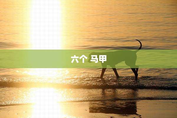 六个 马甲
