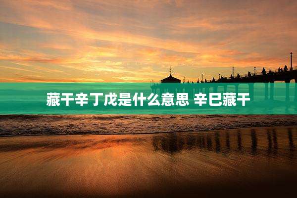 藏干辛丁戊是什么意思 辛巳藏干