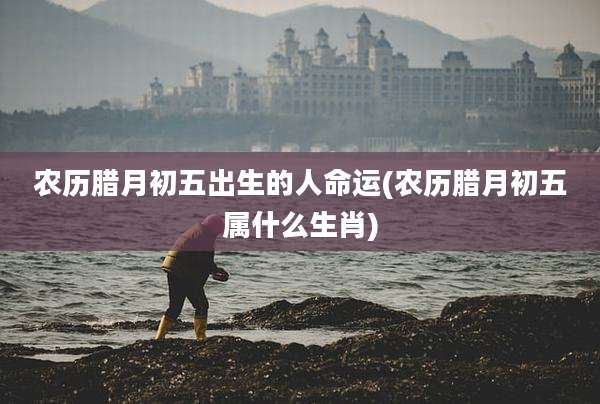 农历腊月初五出生的人命运(农历腊月初五属什么生肖)