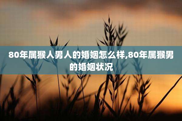 80年属猴人男人的婚姻怎么样,80年属猴男的婚姻状况