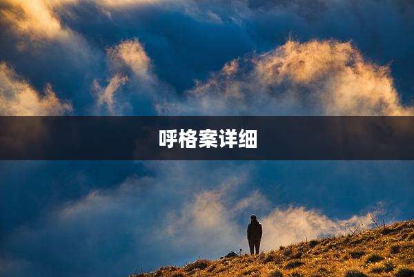 呼格案详细