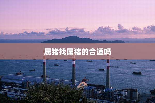 属猪找属猪的合适吗