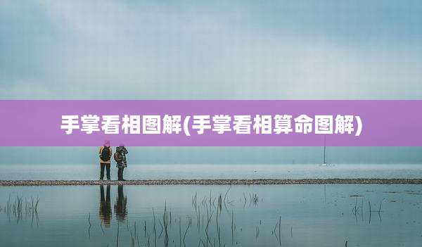 手掌看相图解(手掌看相算命图解)