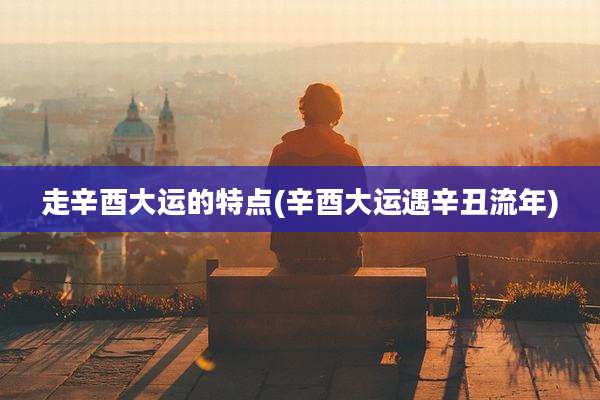 走辛酉大运的特点(辛酉大运遇辛丑流年)