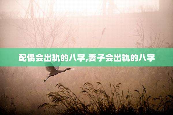 配偶会出轨的八字,妻子会出轨的八字