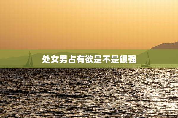 处女男占有欲是不是很强