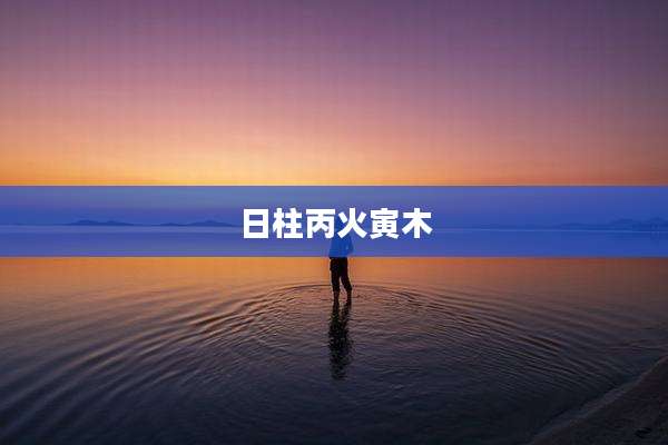 日柱丙火寅木