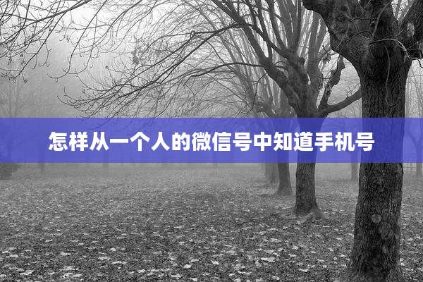 怎样从一个人的微信号中知道手机号