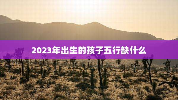 2023年出生的孩子五行缺什么