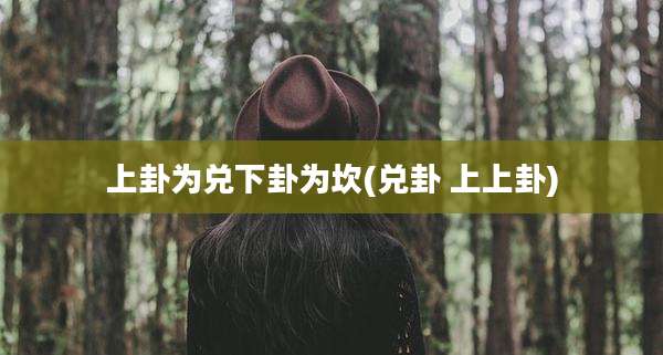 上卦为兑下卦为坎(兑卦 上上卦)