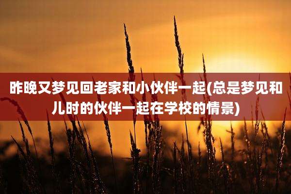 昨晚又梦见回老家和小伙伴一起(总是梦见和儿时的伙伴一起在学校的情景)