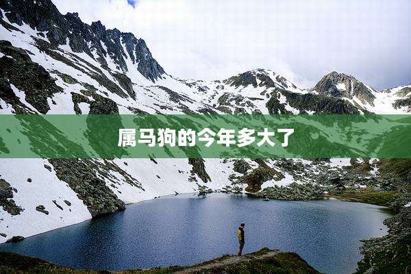 属马狗的今年多大了
