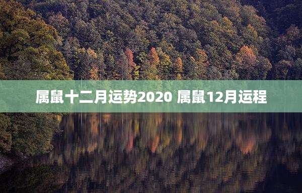 属鼠十二月运势2020 属鼠12月运程